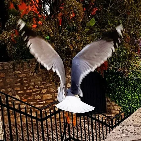 My Loving Διαμέρισμα Ρόβινι